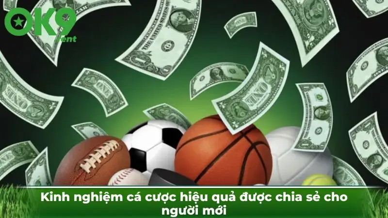 Kinh nghiệm cá cược hiệu quả được chia sẻ cho người mới